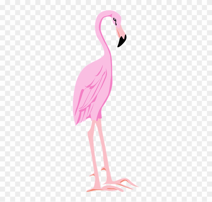 Flamingo Clipart Wings - Flamenco Animal Png #749756