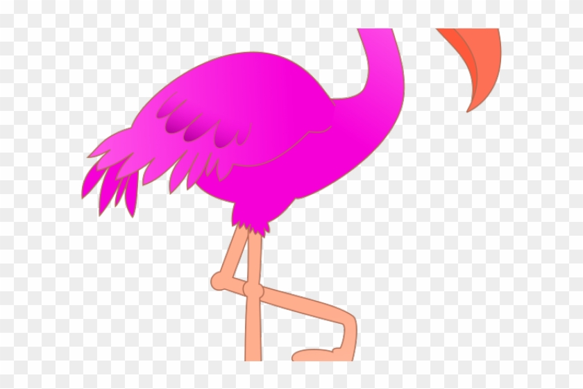 Flamingo Clipart Safari Bird - Flamingo Png #749794