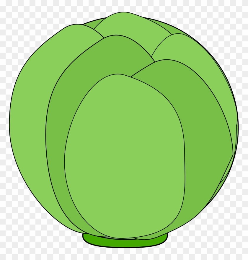Free Cabbage - Cabbage Clip Art #750041