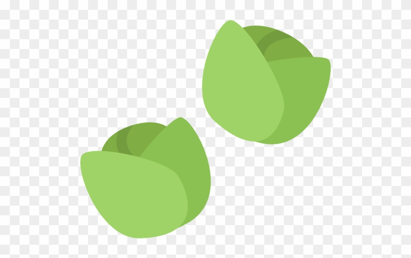 Brussels Sprouts Free Icon - Brussels Sprout #750044