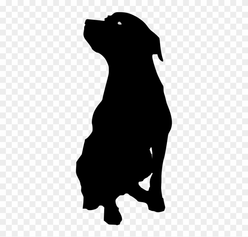 Dog 48227 960 - Dog Silhouette Vector Png #750313