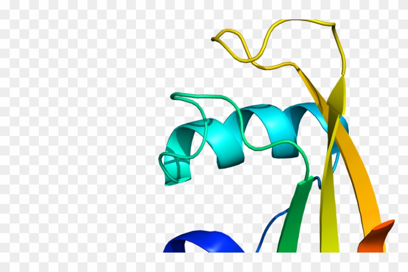 Study Gives Clues To Causes Of Motor Neurone Disease - Parkinson Disease Dementia #750355