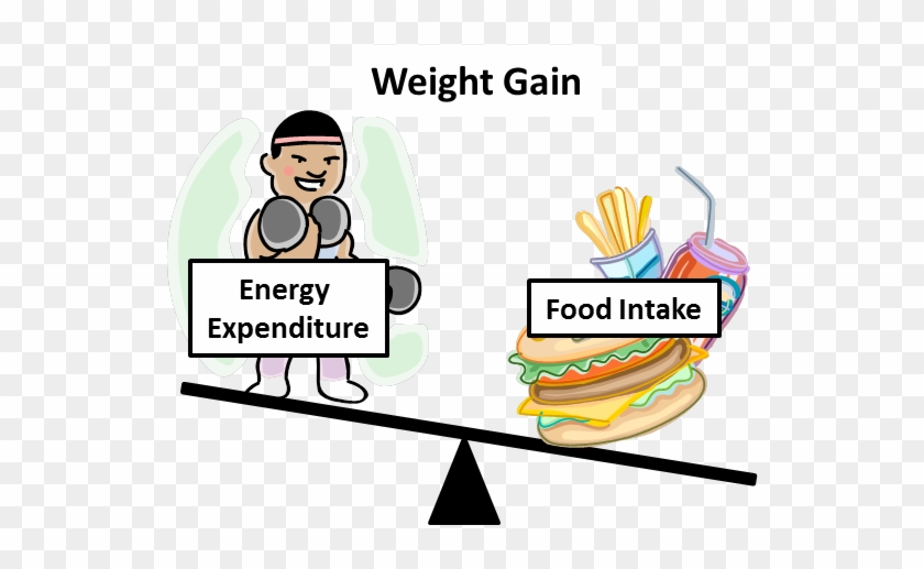 A Study Of Ucp1 In Brown Fat Thermogenesisto Target - Energy Intake Energy Expenditure #750439