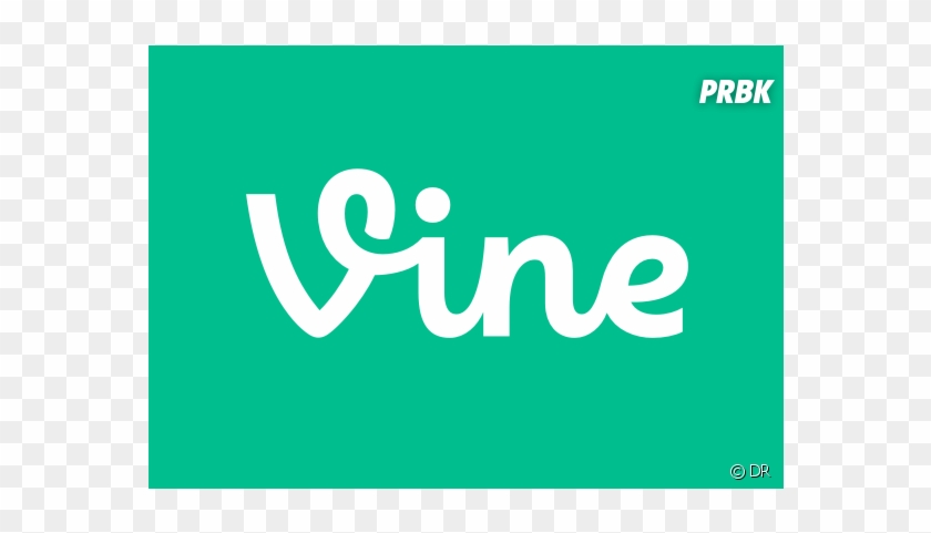 Vine De Retour Une V2 En Préparation - Vine Logo #750655