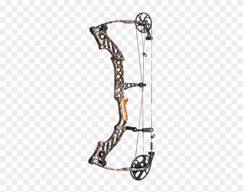Picture - Parts Of A Compound Bow #750729