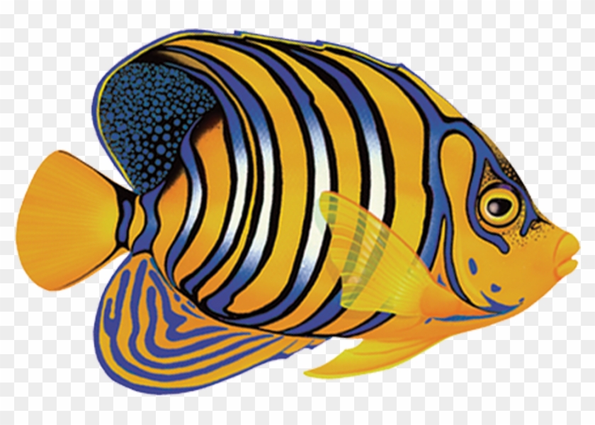 Porc Rf8 5 5"x3" Regal Angelfish Porcelain Pool Mosaic - Tropical Fish Side View #751258
