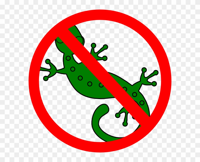 No Lizards Clip Art At Clker - No Lizard Png #751339