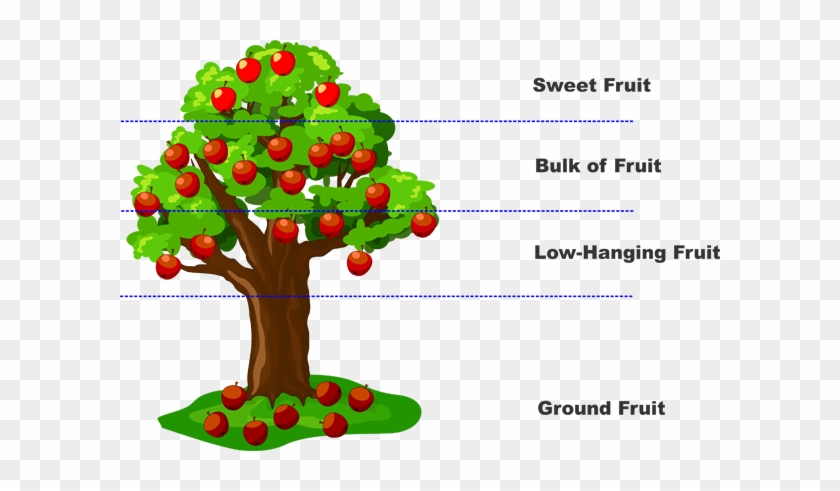 Apple Tree - Lean Low Hanging Fruit #751442