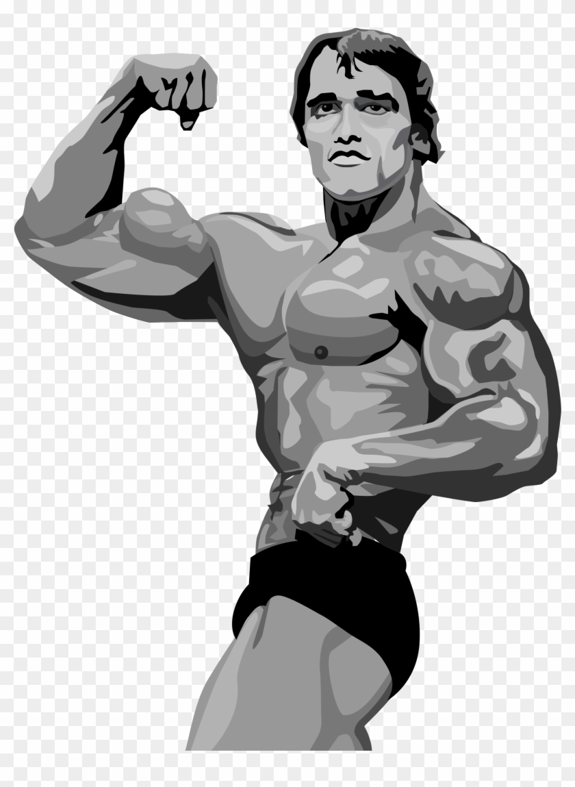 Alterofilista Png - Dibujos De Arnold Schwarzenegger #751476