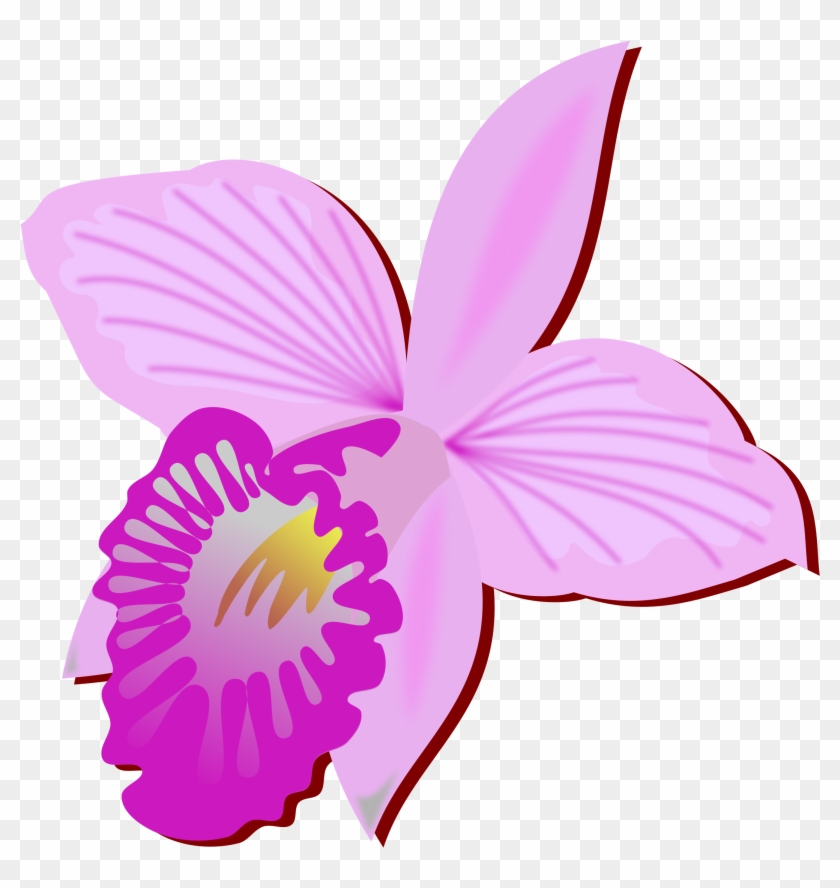Big Image - Orchidee Clipart #752485