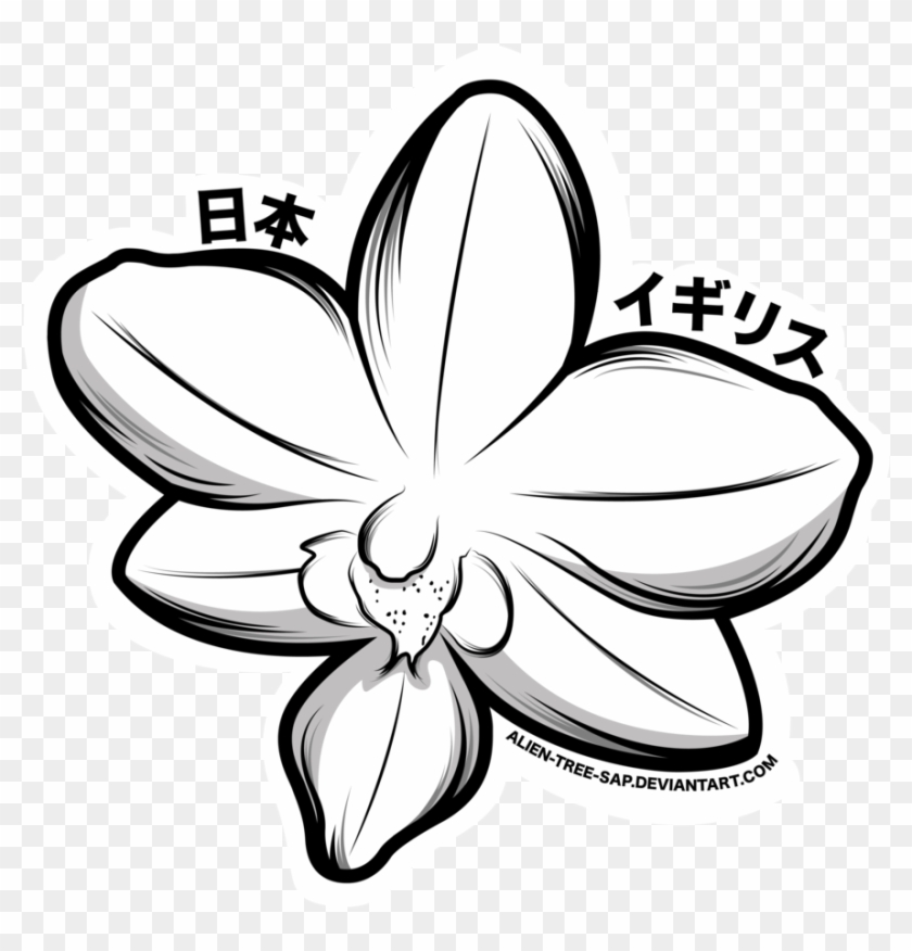 28 Collection Of Orchid Drawing Png - Drawing #752728