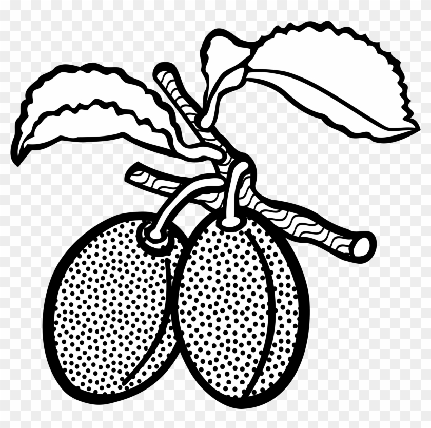 Big Image - Plum Clipart Black And White #752855