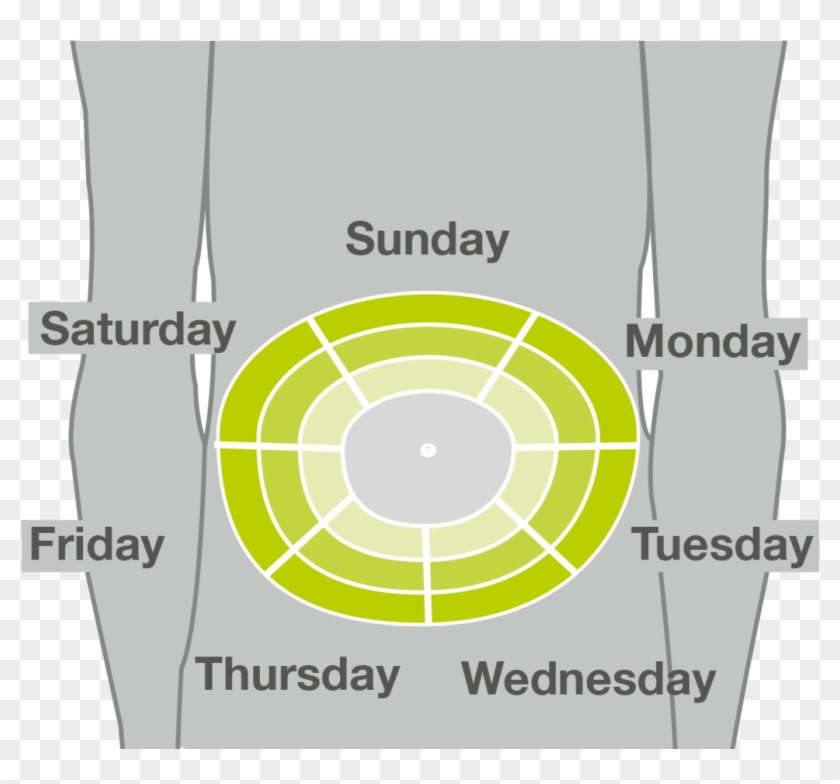 Daily Injection Site Rotation - Rotating Insulin Injection Sites #753088