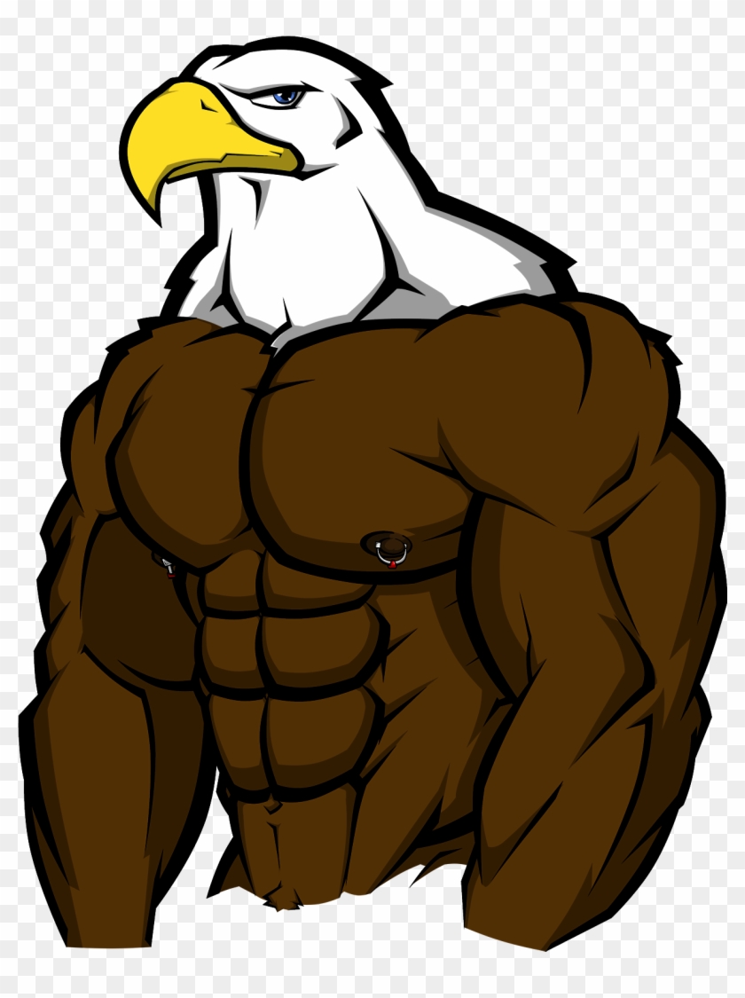 Muscle Bird Of Prey - Bald Eagle With Muscles #753456