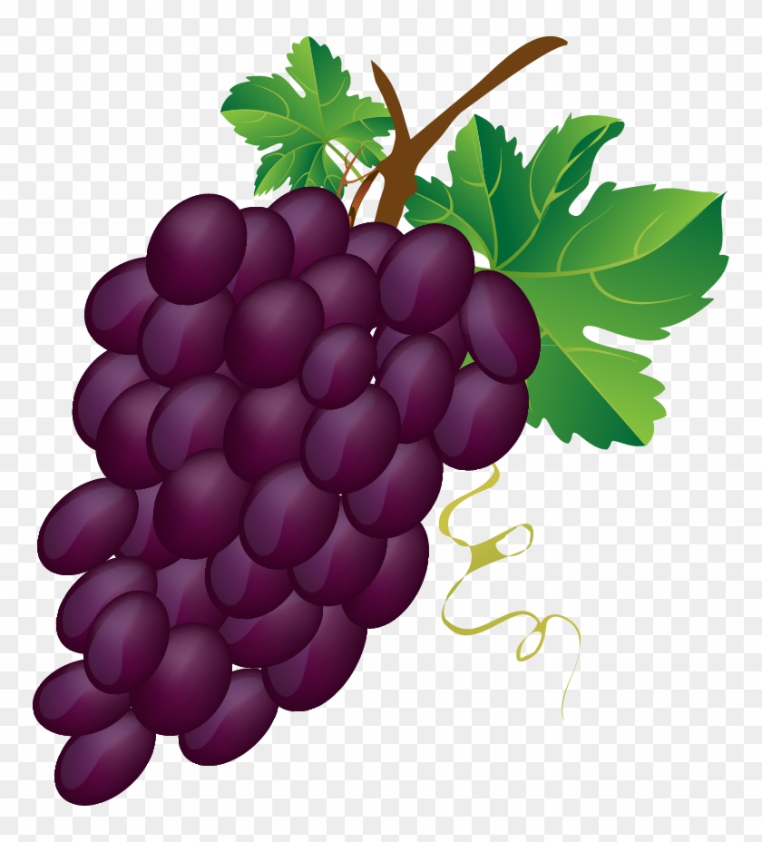 28 Collection Of Bunch Of Grapes Clipart - Grapes Images Clip Art #753483