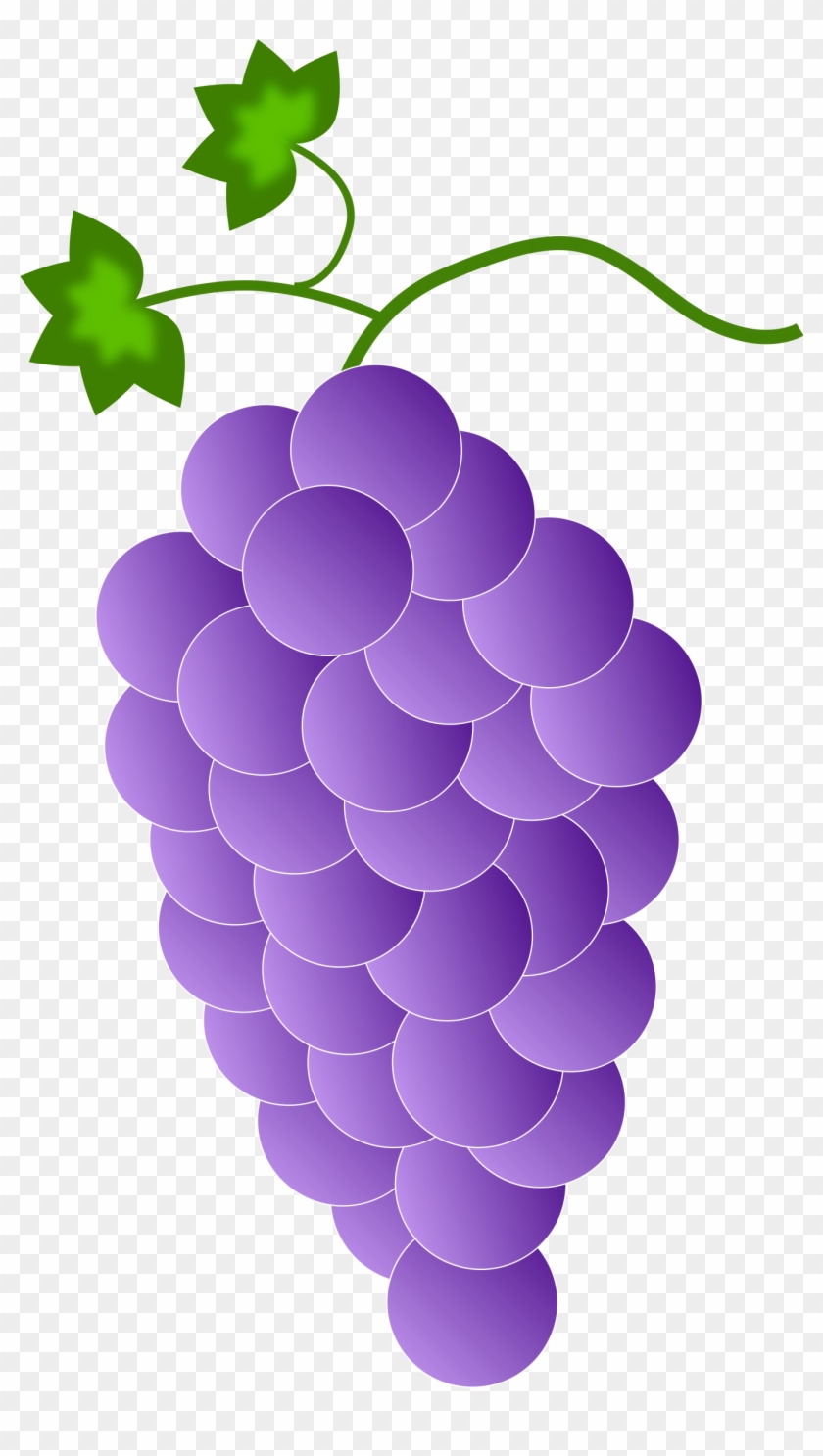 Clip Arts Related To - Purple Grape's #753501