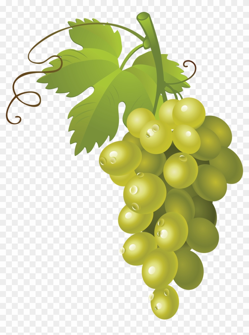 Grapes Clipart Transparent Background - Green Grapes Clipart #753509