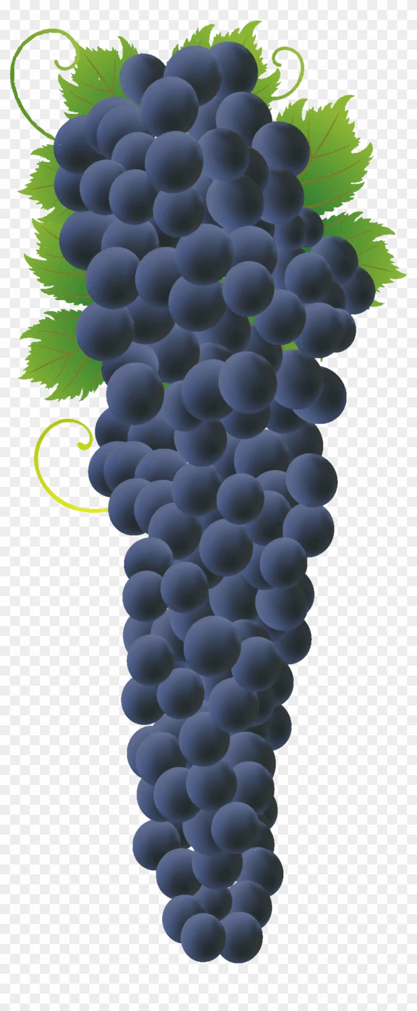 Big Image - Big Bunch Of Grapes #753516