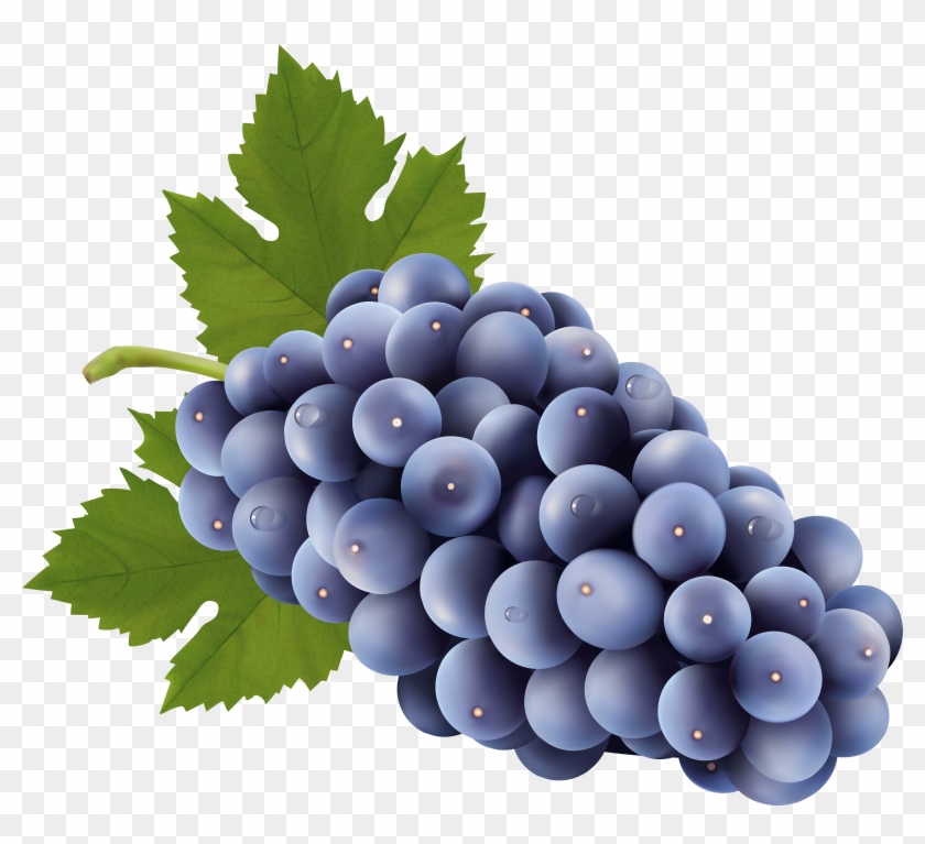 Grapes Free Png Clip Art Image - Grapes Clipart Png #753534