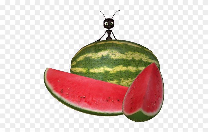 Watermelon Clip Art - Ant With Watermelon #753555