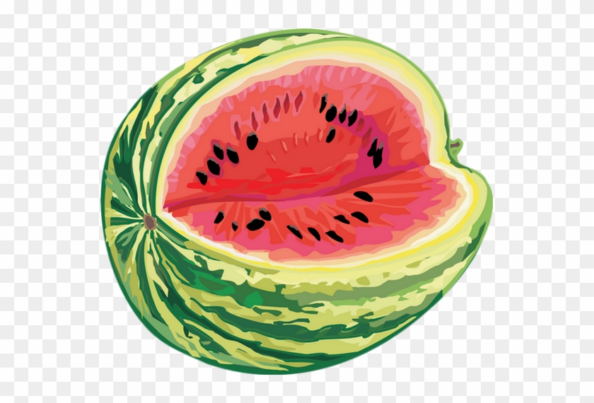 Watermelon 5'x7'area Rug #753574