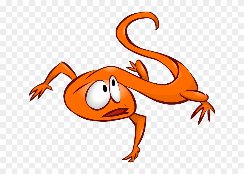 Cartoon, Orange, Animal, Reptile, Lizards - Lizard Clip Art - Free Transparent PNG Clipart Images Download Cartoon, Orange, Animal, Reptile, Lizards - Lizard Clip Art - Free Transparent PNG Clipart Images Download