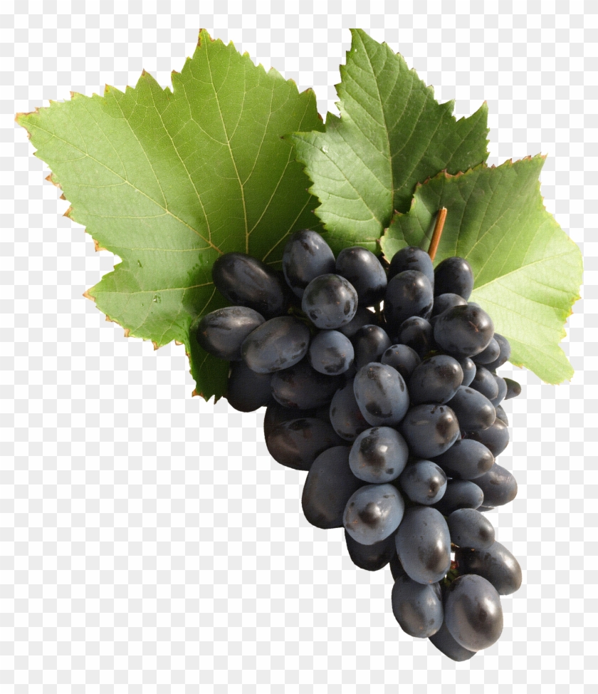 Grape Png #753599