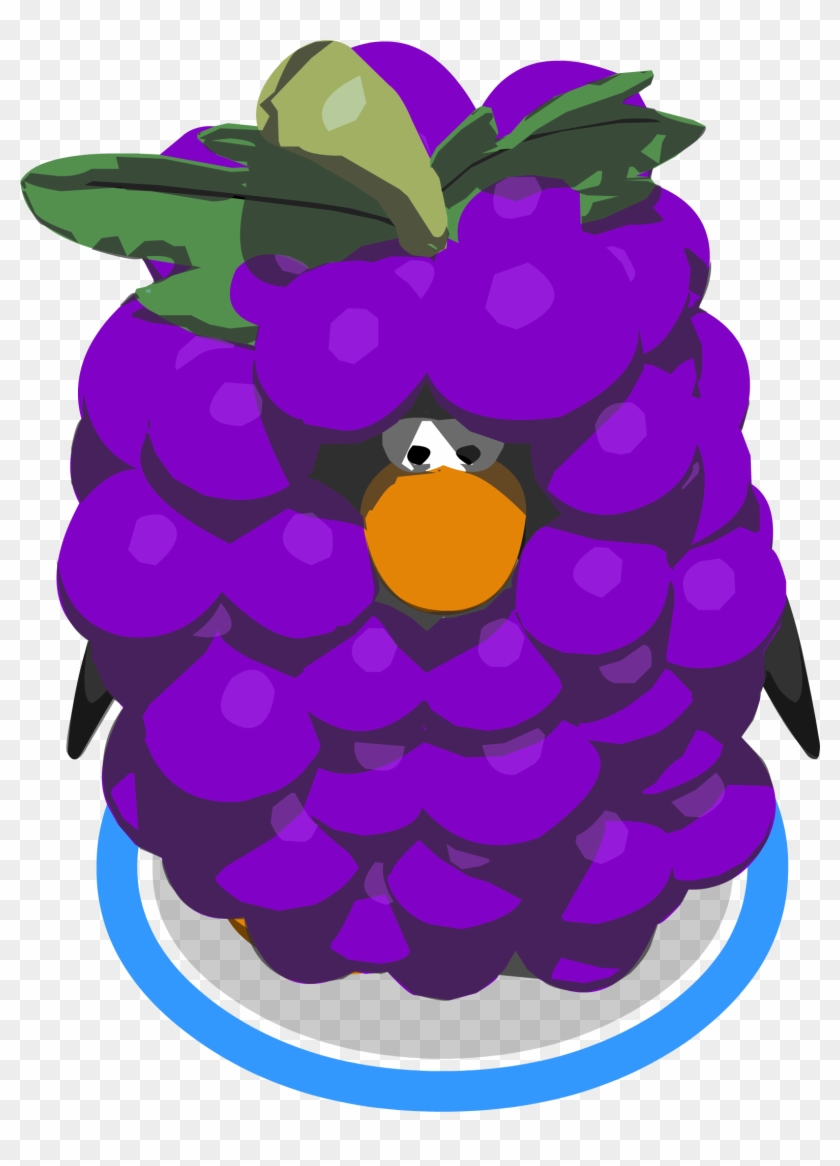 Grape Bunch Costume Ingame - Grape #753611