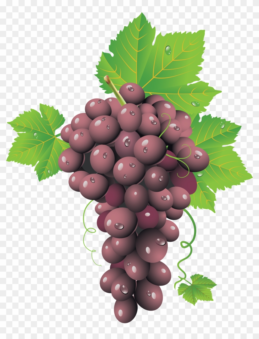 Grapes Clipart Single Grape - Red Grapes Png #753621