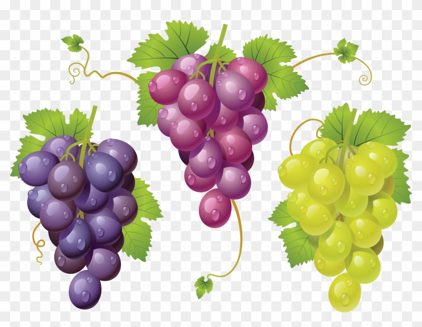 Grapes Images, Modafinilsale - La Cura De La Uva/ The Grape Cure #753622