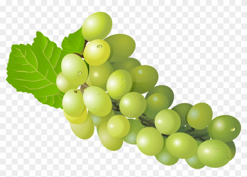 Grapes Clipart Fruit - Grape Png #753634