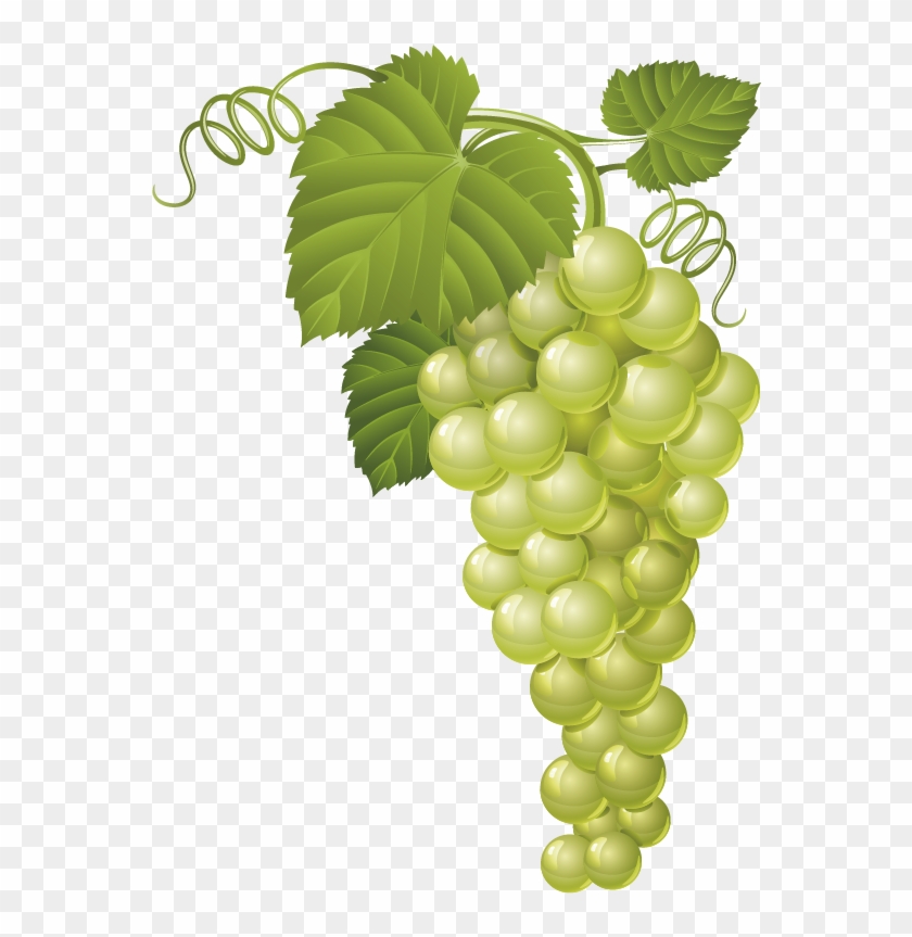 Grapes Clipart Common Fruit - Green Grape Clip Art #753653