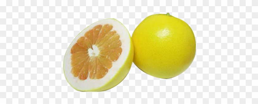 Pomelo Grapefruit Juice Lemon Citrus Junos - Pomelo Grapefruit Juice Lemon Citrus Junos #753789