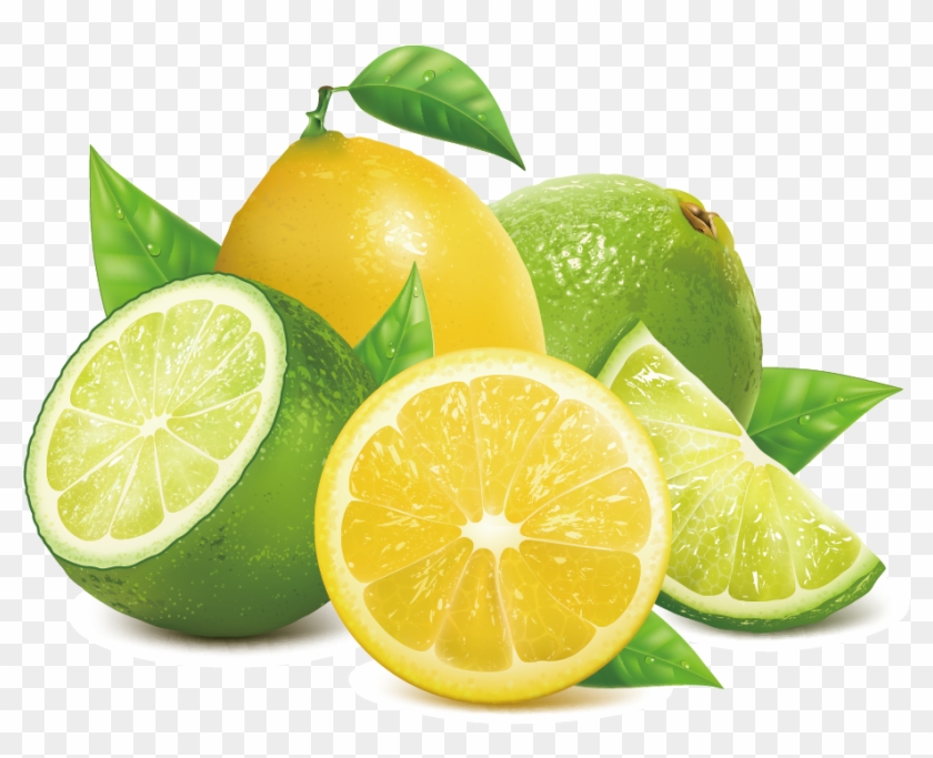 Lemon Key Lime - Vector Lime Png #753820