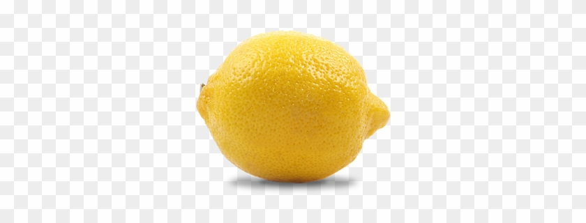 Lemon - Meyer Lemon #753835