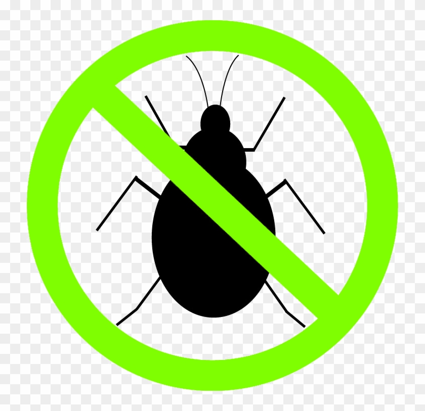 Pest Inspections - Pest Inspections #754233