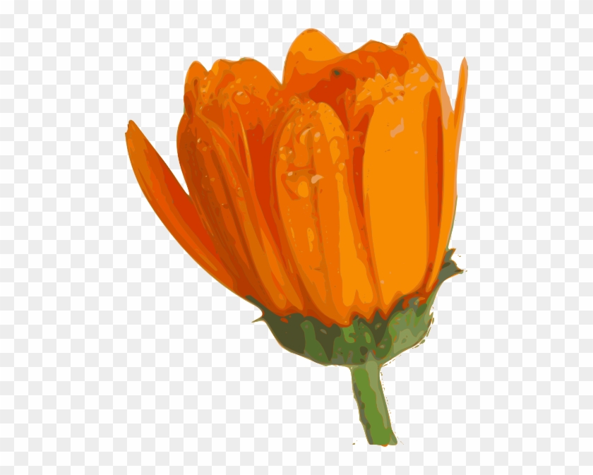 Orange Flower Clipart Animated Flower - Blooming Flower Png Gif #754308