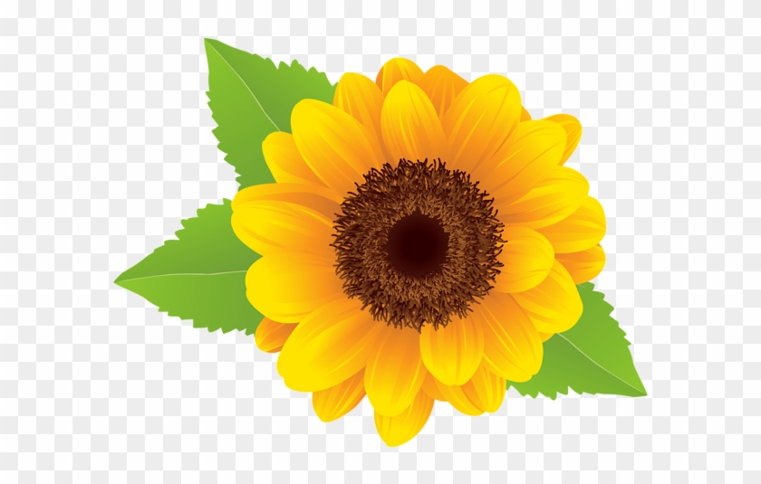 Sunflower Clipart Image - Sunflower Images Clip Art #754360