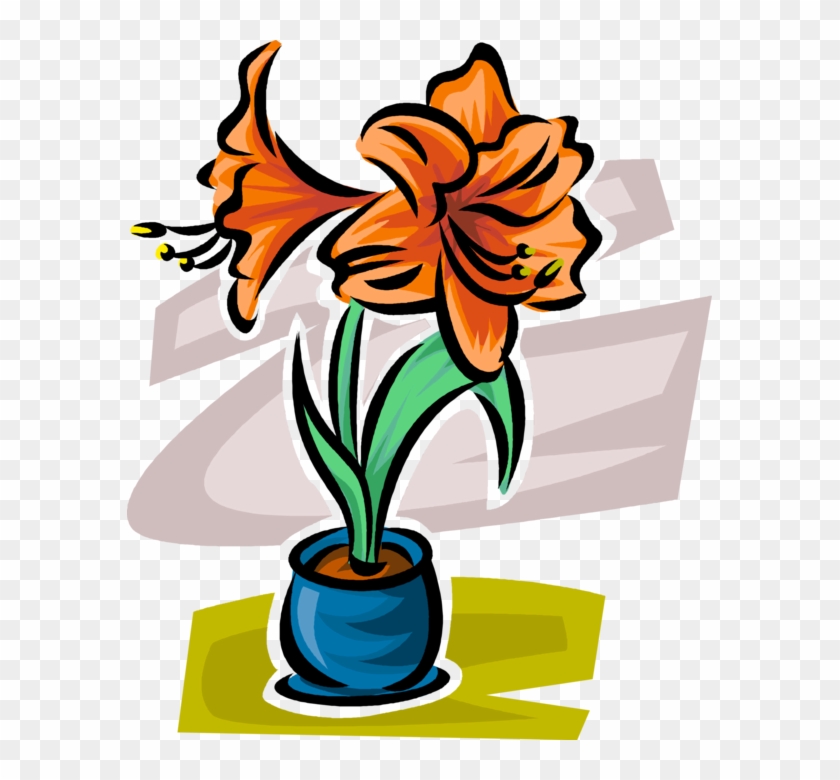 Vector Ilration Of Botanical Flowering Plant Garden - Flower #754682