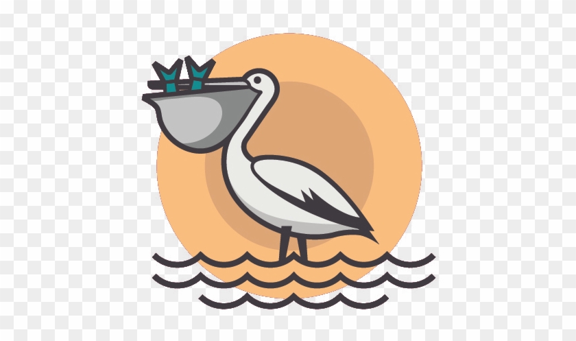 Pelican Adobe Illustrator Illustration - Illustrator Animal #755363