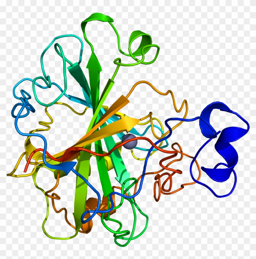 Human Carbonic Anhydrase Ii #755439