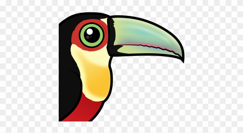 About The Red-breasted Toucan - Green-billed Toucan #755449