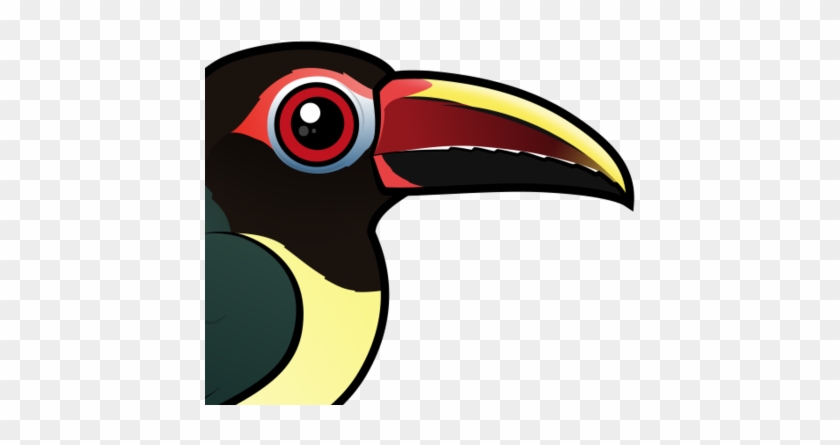 The Green Aracari Is A Toucan That Lives In Northeastern - Birdorable Green Aracari Bracelets, Adult Unisex, Floral #755462