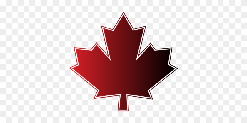 Maple Leaf, Maple, Canada, Canada Day - Canada Maple Leave Outline Tattoo #755549