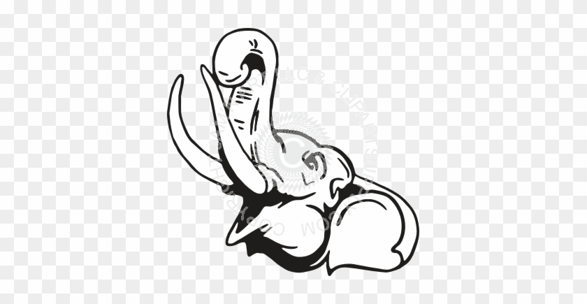 Elephant Head Drawing Side #755717