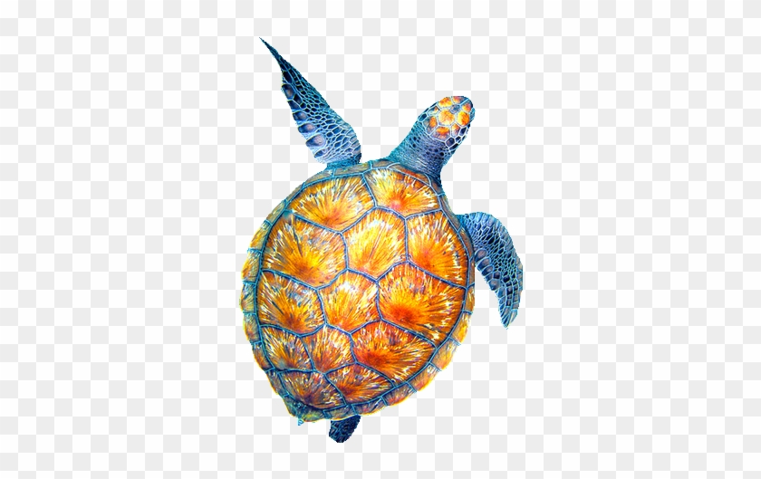 Sea Clipart Tumblr Transparent - Turtle #755732