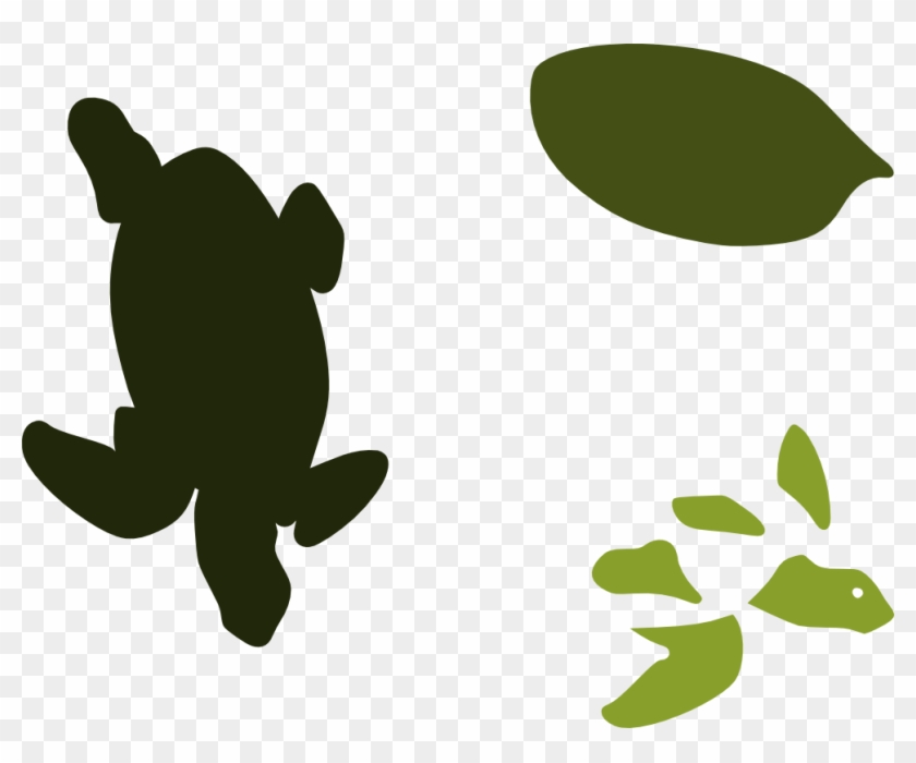 Nature, Personal Use, Seaturtle, - Nature, Personal Use, Seaturtle, #755766