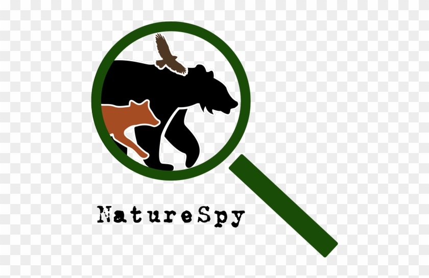 Naturespy Is A Non-profit Organisation That Aims To - Bear With Me Icon Motivational Sign - Aluminum Metal, #755775