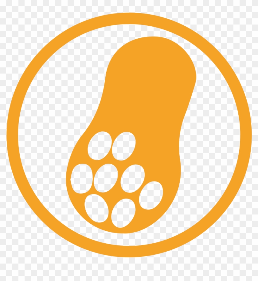 Peanut Allergy Amber Icon - Peanut Allergy #755831