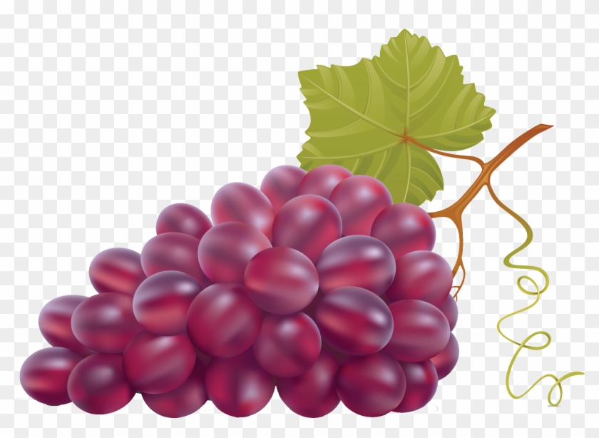 Wine Grape Leaves Clip Art - Wine Grape Leaves Clip Art #755970